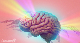 Влияние марихуаны на мозг человека