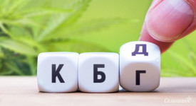 Что такое каннабигерол?