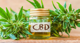7 фактов о концентратах CBD