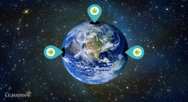 Где легализована марихуана?