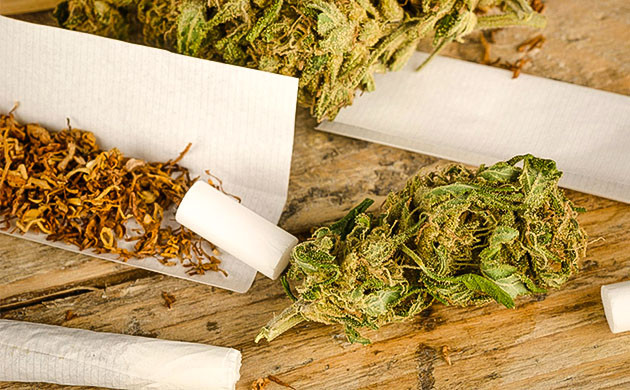 Опасность смешивания табака с каннабисом Безопасно ли смешивать коноплю с табаком