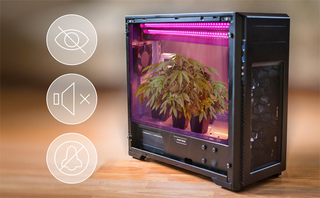 Маленький гроубокс для выращивания конопли Стелс гровинг каннабиса