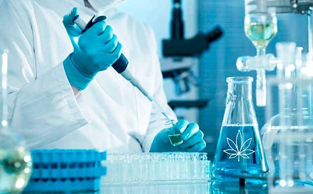 Формирование ТГК, КБД, КБХ и менее известных каннабиноидов в конопле Каннабиноиды конопли и их синтез