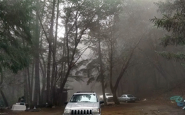 Трудоустройство на нелегальной ферме