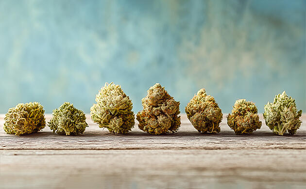 История происхождения сорта