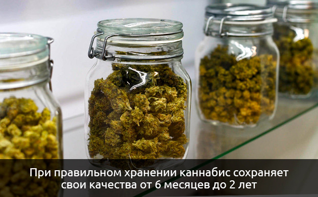 Сохранение качества каннабиса