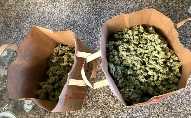 Бумажные пакеты с шишками 