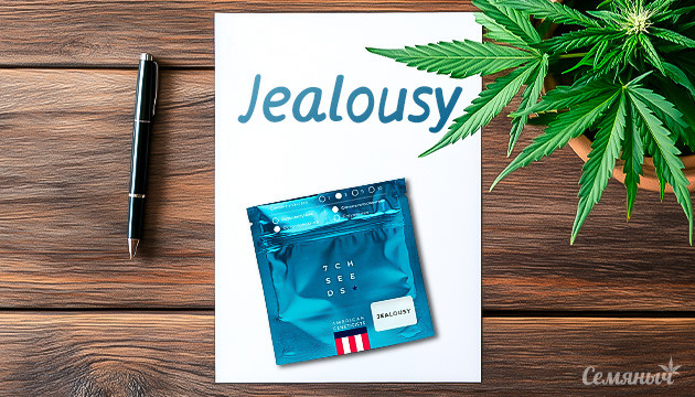 Гроурепорт сорта Jealousy
