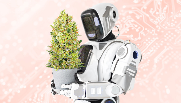 Акция на автоцветущие сорта