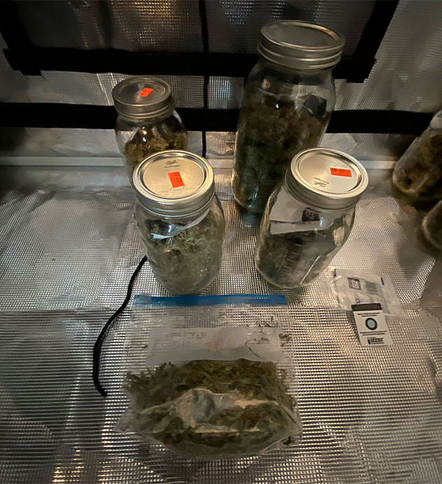 Сухой урожай в банках