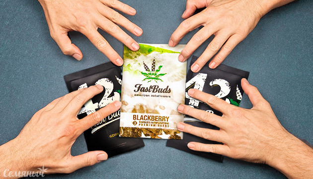 Мощные сорта от FastBuds Сорта от FastBuds