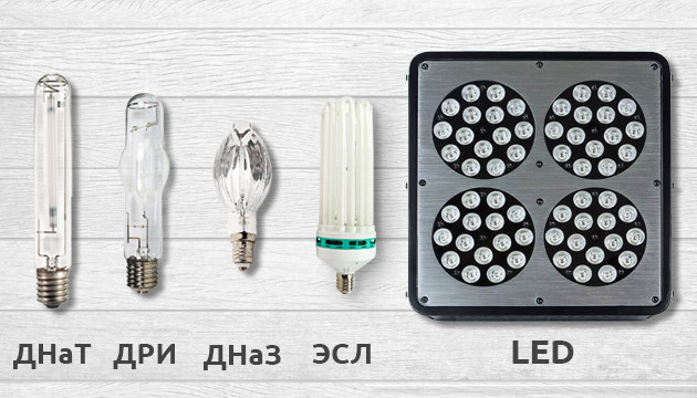 Лампы для выращивания конопли в индоре Виды ламп