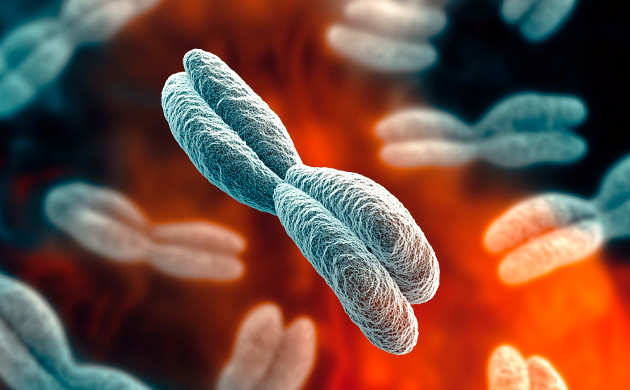 ГМО и полиплоидизация как современные методы генетической модификации каннабиса Полиплоидизация и ГМО