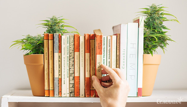 5 книг о конопле