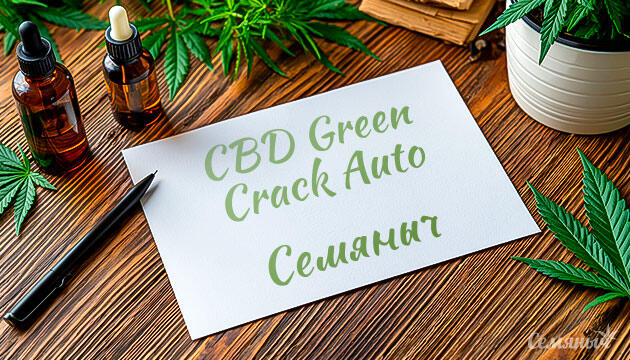 Гроурепорт сорта CBD Green Crack Auto от сидбанка Семяныч