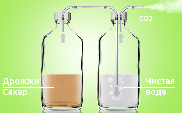 Выработка CO₂ при помощи брожения Процесс брожения