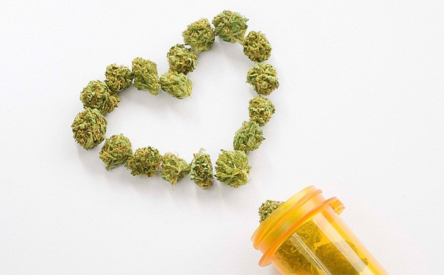 Сердечно-сосудистые эффекты марихуаны Сердечно-сосудистые эффекты конопли