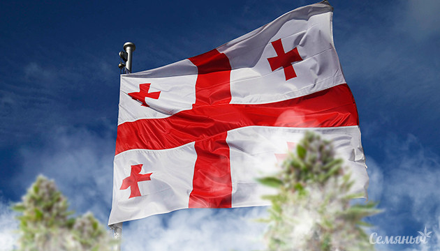 В Грузии снизят возрастной порог для легального использования каннабиса