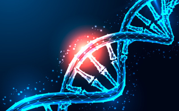 Основные категории и влияние на живые организмы Процесс мутации конопли