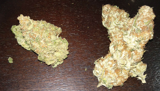 Собранный урожай