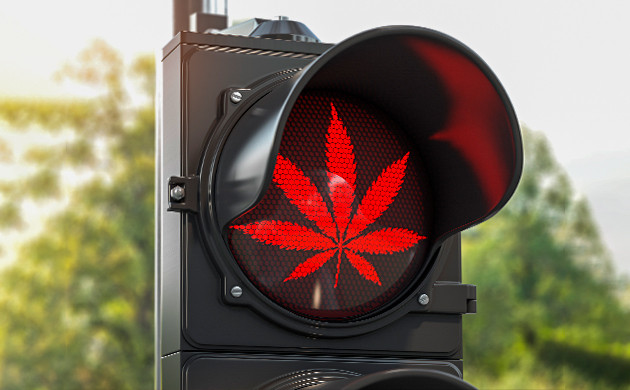 Ограничения на употребление каннабиса в Таиланде Штрафы и запреты на употребление в Таиланде