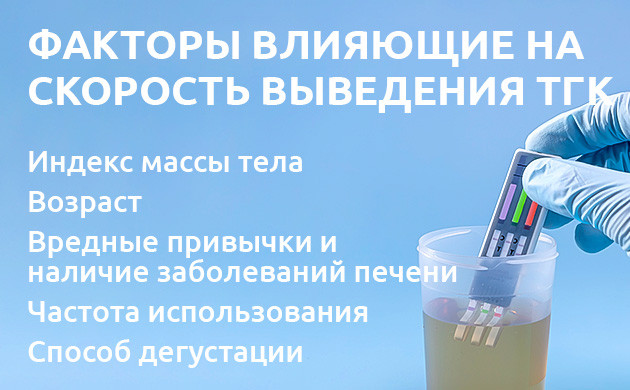 Скорость очищения организма от каннабиса: от чего зависит