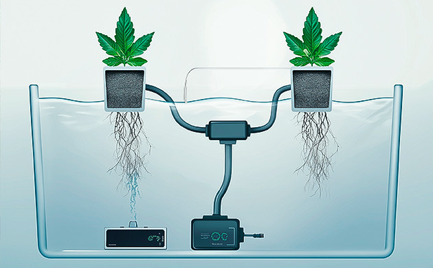 Бабблпоника: идеальная система для ранней стадии роста марихуаны