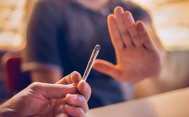 КБД во время отказа от ТГК: современные исследования Повышение уровня анандамида с помощью КБД