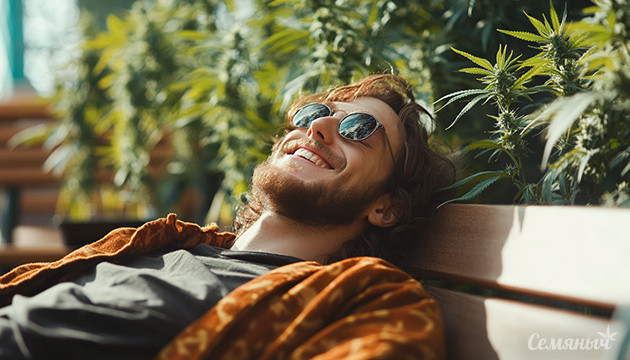 Как конопля действует на на настроение и самочувствие Эффекты марихуаны на настроение и самочувствие