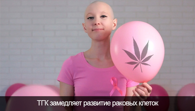 Каннабис и рак легких ТГК замедляет развитие раковых клеток