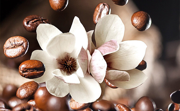 Африканский кофе и цветочный каннабис