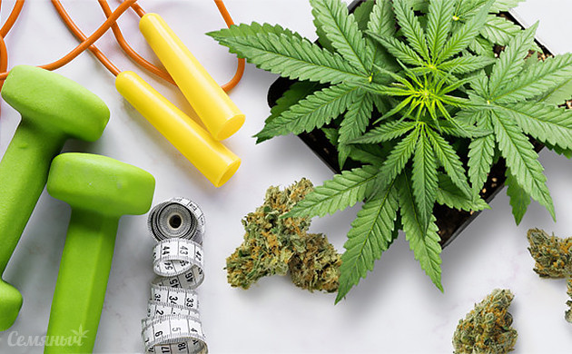 Тренировки конопли