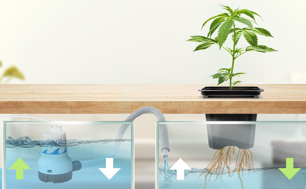Система периодического затопления Горшок с растением отдельно от резервуара