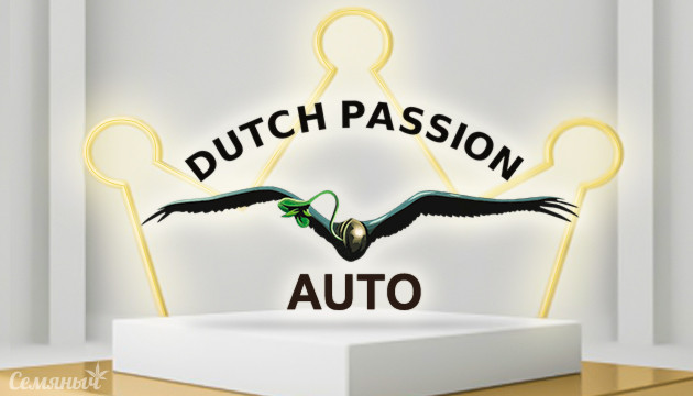 Автоцветущие сорта конопли от Dutch Passion