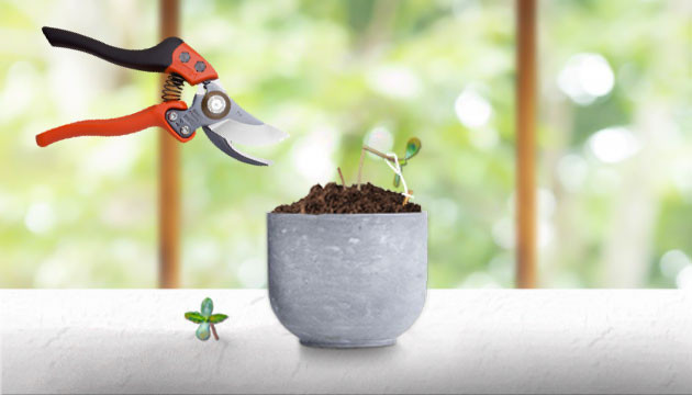 Применение техник увеличения урожая Техники увеличения урожая