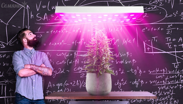 Необходимый свет для конопли в индоре Расчет света для конопли