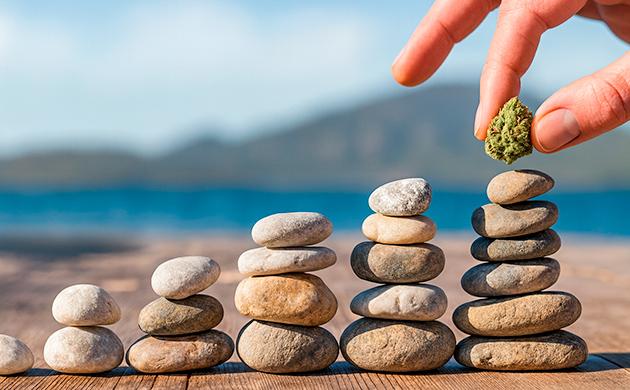 Влияние каннабиса на когнитивные функции и концентрацию