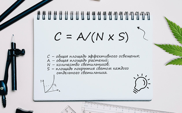 Оптимальное развитие с помощью света