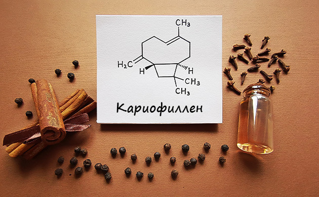Уникальная молекулярная структура Химия бета-кариофиллена