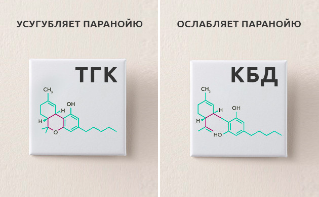 Влияние ТГК и КБД на организм