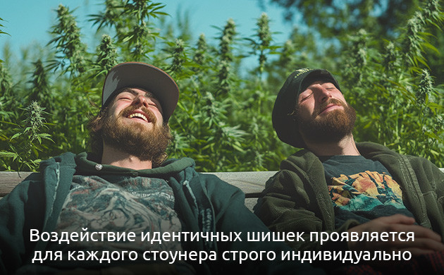 Влияние FAAH на эффект Генетика и реакция на ТГК