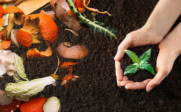 Что такое компостирование