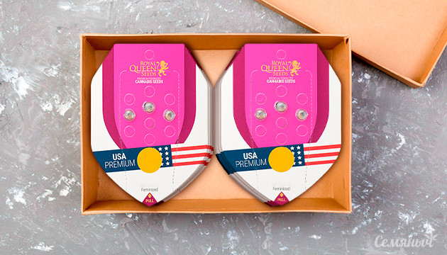 Новинки от бридера семян конопли RQS Новинки от сидбанка Royal Queen Seeds