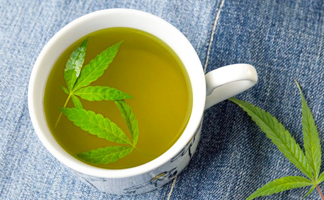 Чай из листьев каннабиса