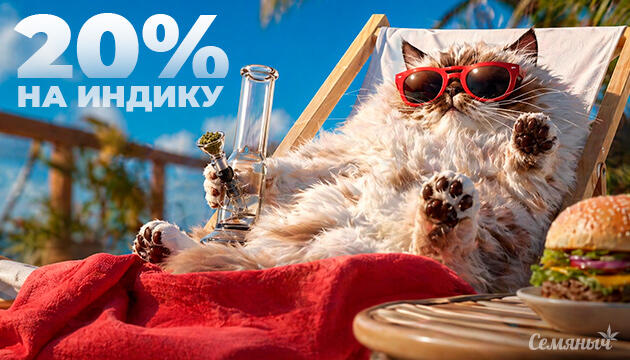 Индика -20% на Семяныче