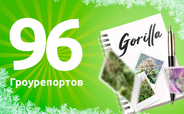 Комплексные отчеты о выращивании