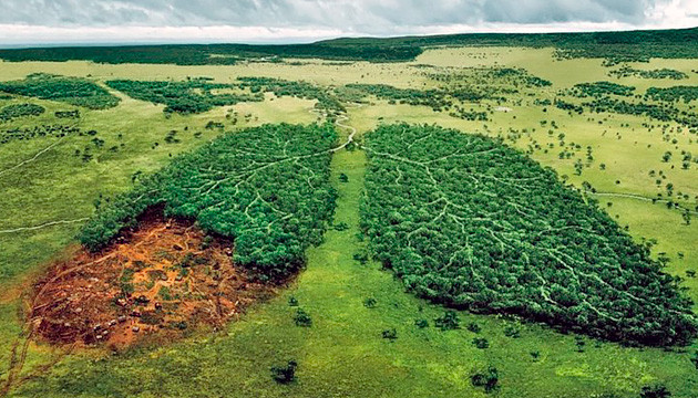 Воздействие дыма конопли Может ли дым марихуаны повредить лёгкие