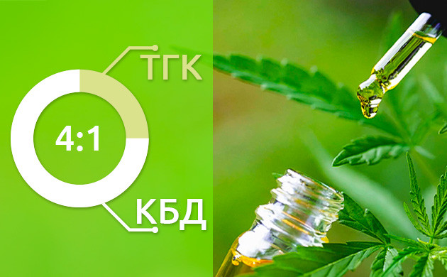 Соотношение 4:1 КБД и ТГК