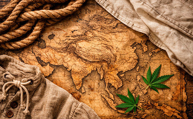 Ткань с тысячелетней историей