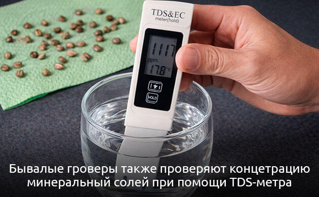 Измерение pH воды для проращивания семян каннабиса